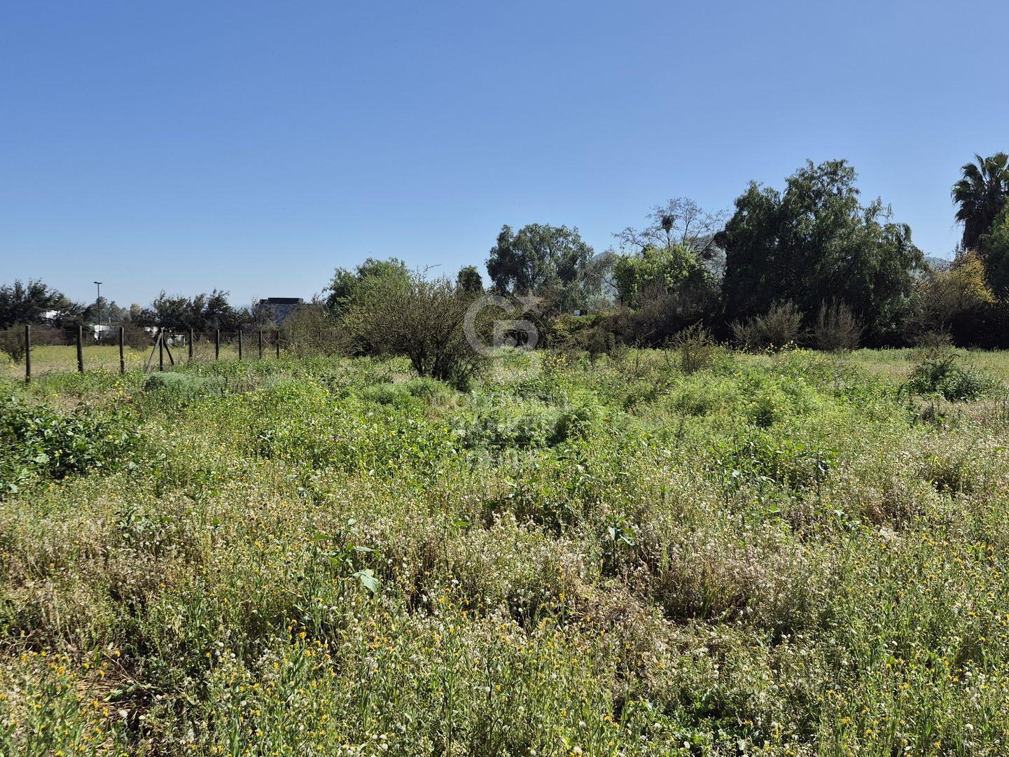 Colina, Chile, ,Land,For Sale,1954874