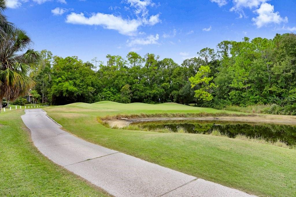 Tampa, Florida, 33626, United States, 4 Bedrooms Bedrooms, ,3 BathroomsBathrooms,Residential,For Sale,1989267