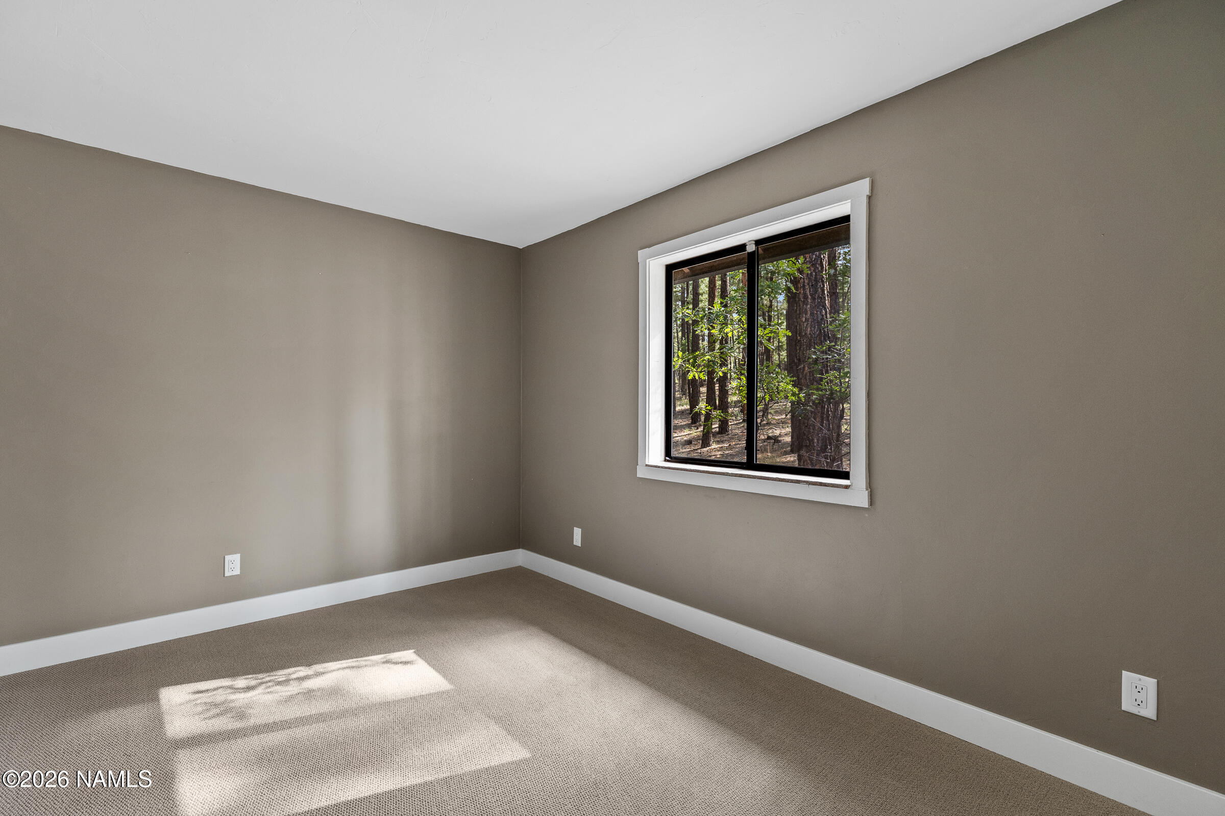  3579 Starlight Drive, Happy Jack, AZ 86024 - 物件實景