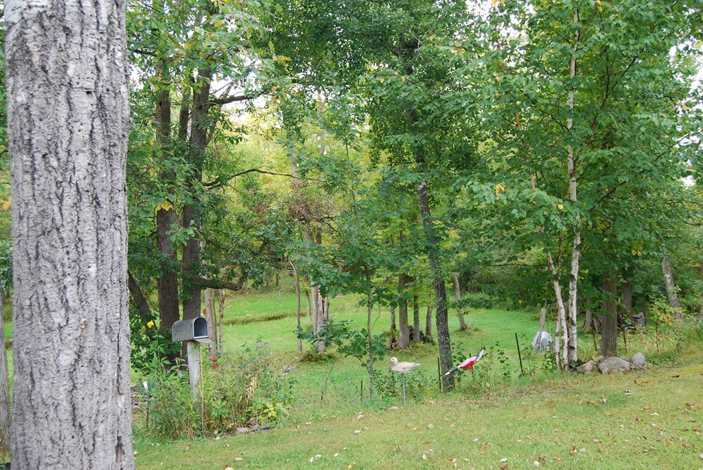 Grand Rapids, Minnesota, 55744, United States, 3 Bedrooms Bedrooms, ,Residential,For Sale,1981419