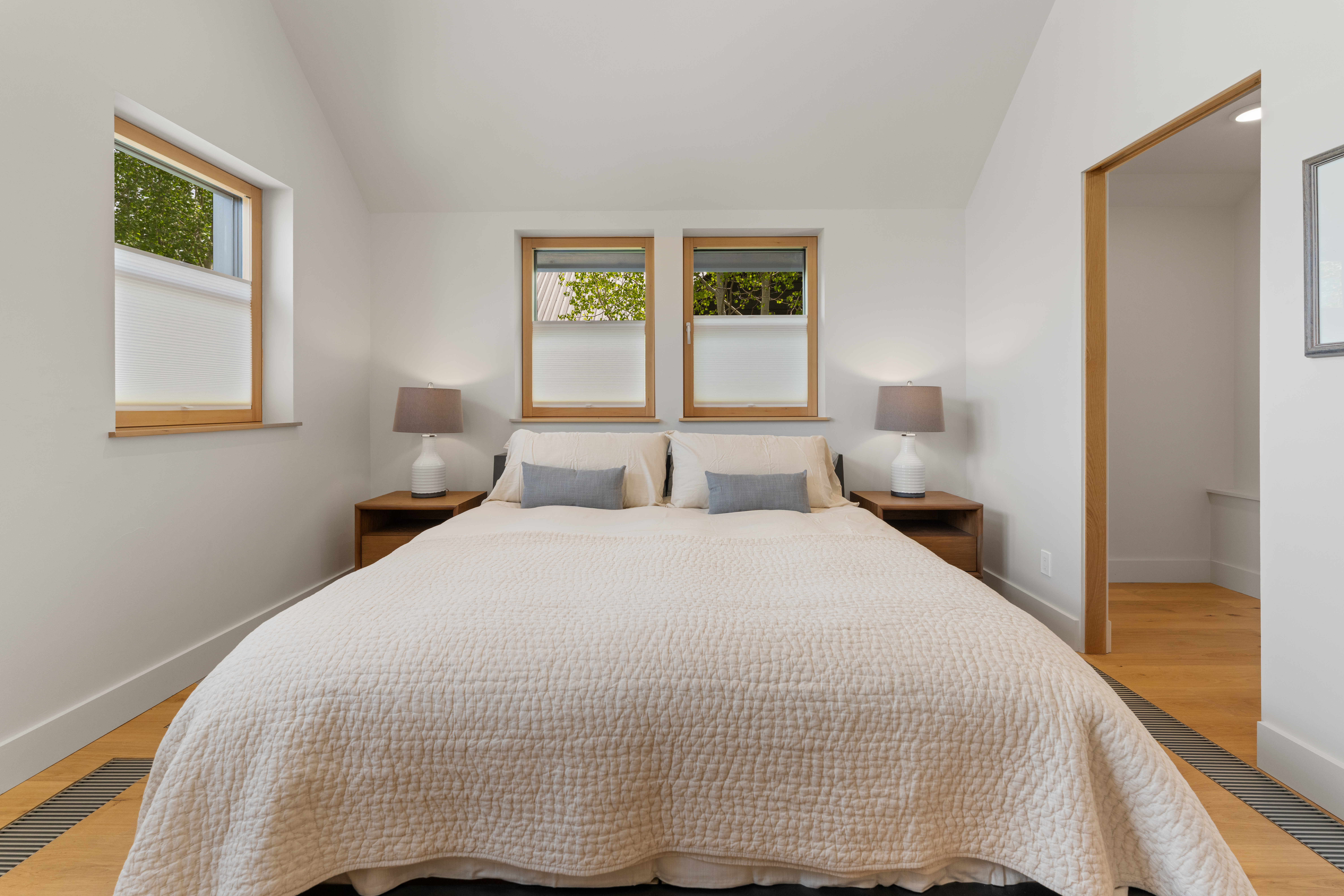  Cutting Edge Sustainable Construction with ADU in Crested Butte - 物件實景