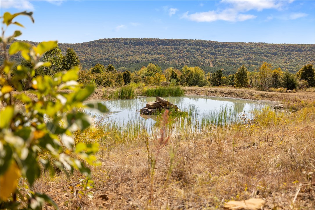 Harrison, Arkansas, 72601, United States, ,Land,For Sale,1903460