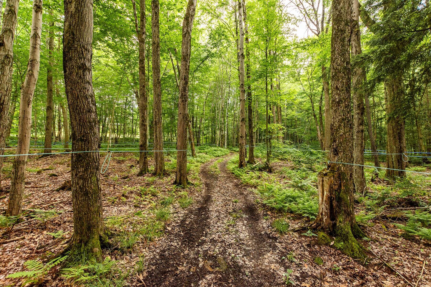  Bromont, Eastern Townships - 物件實景