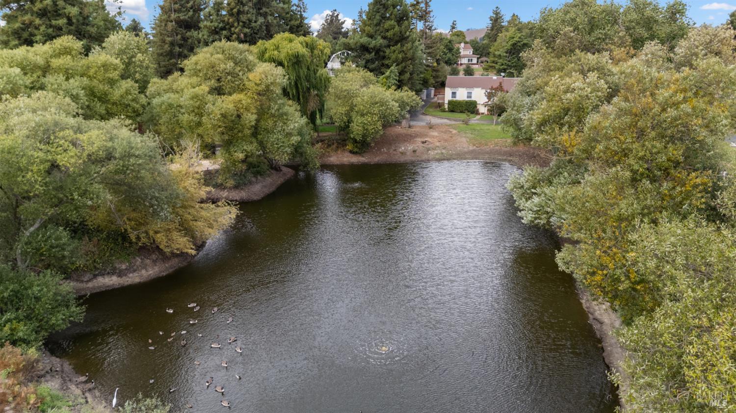 Petaluma, California, 94952, United States, 4 Bedrooms Bedrooms, ,2 BathroomsBathrooms,Residential,For Sale,1974511