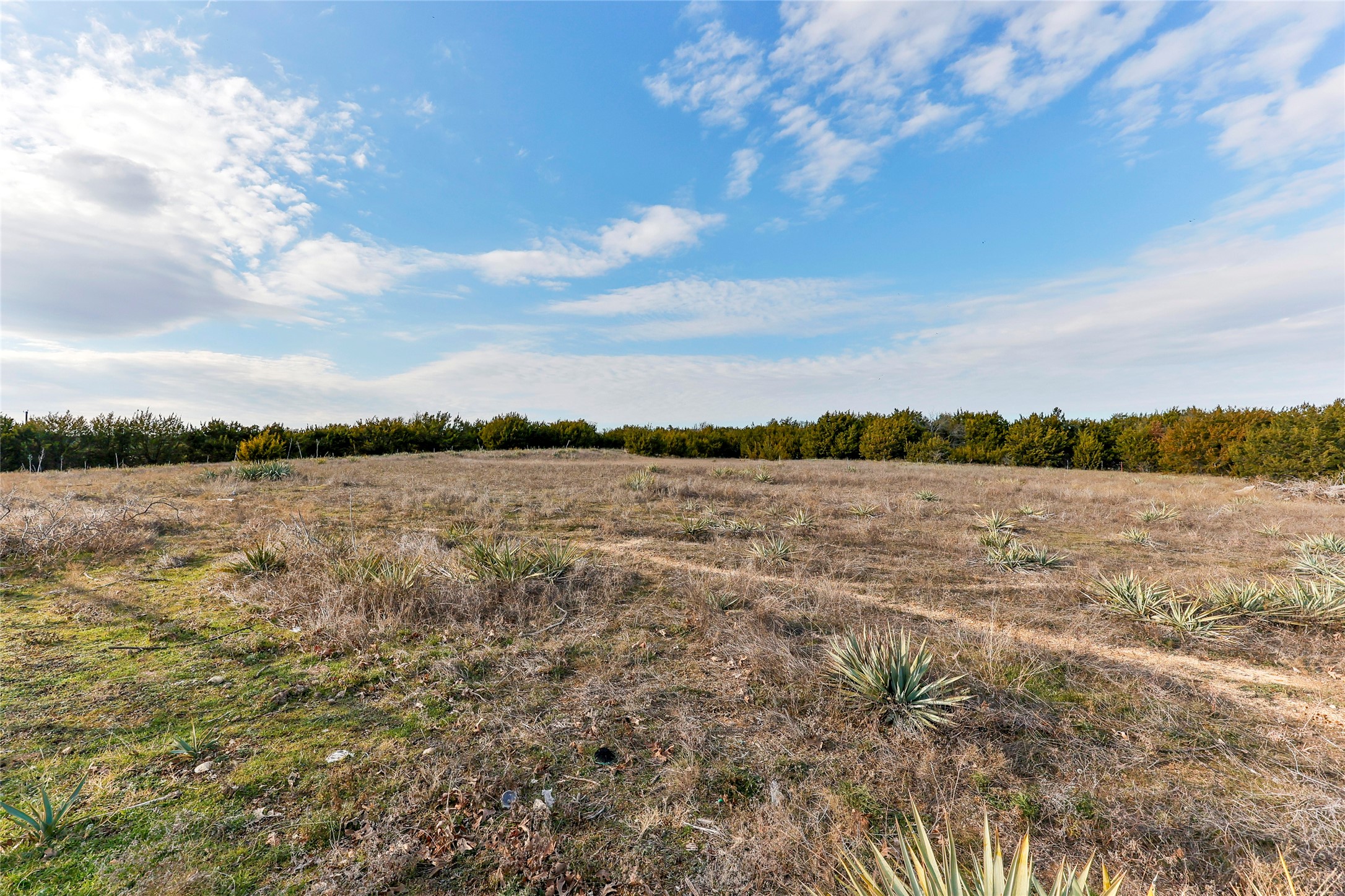 Weatherford, Texas, 76088, United States, 4 Bedrooms Bedrooms, ,3 BathroomsBathrooms,Residential,For Sale,1885521
