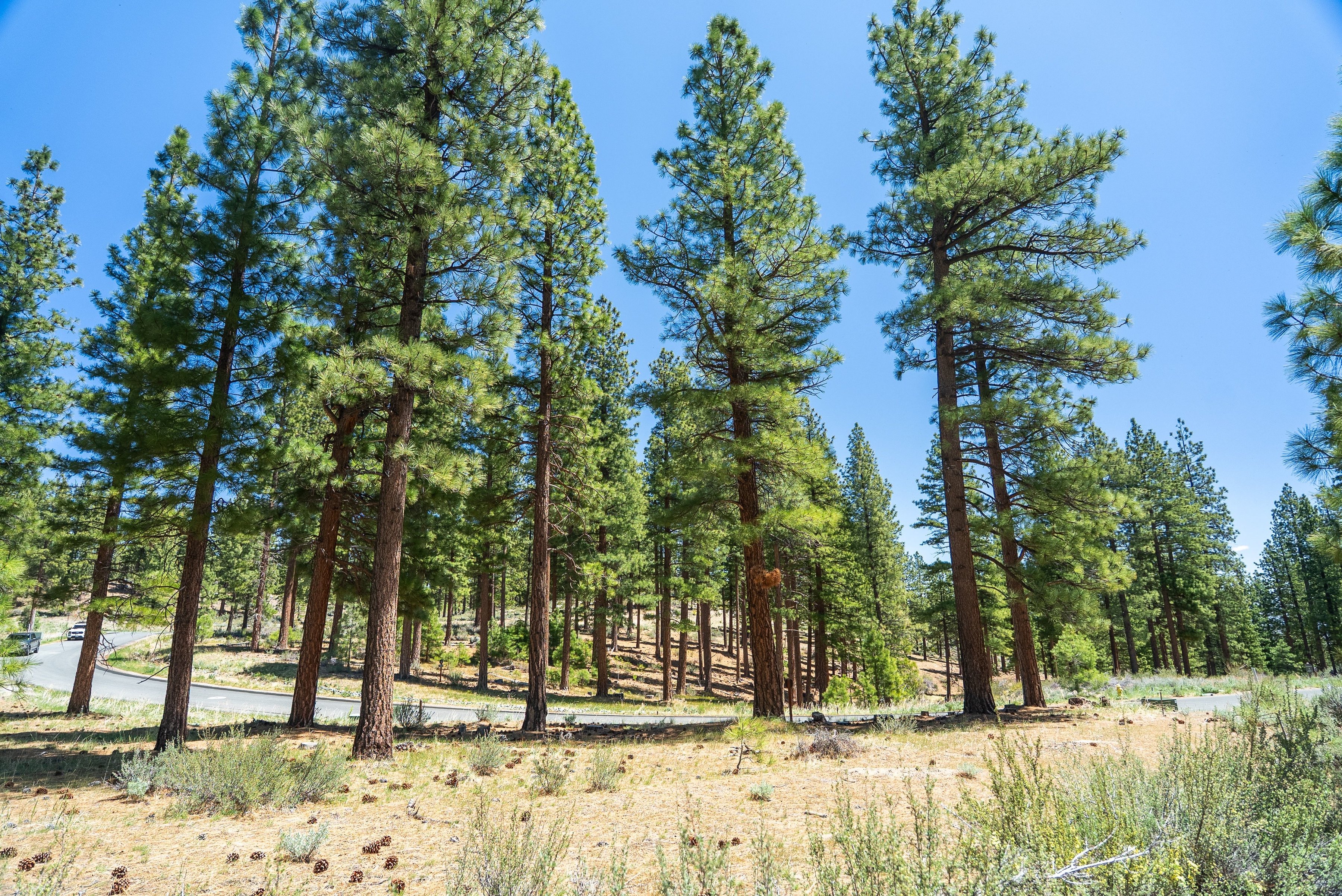  Two Extraordinary Pieces of Land in Clear Creek Tahoe - 物件實景
