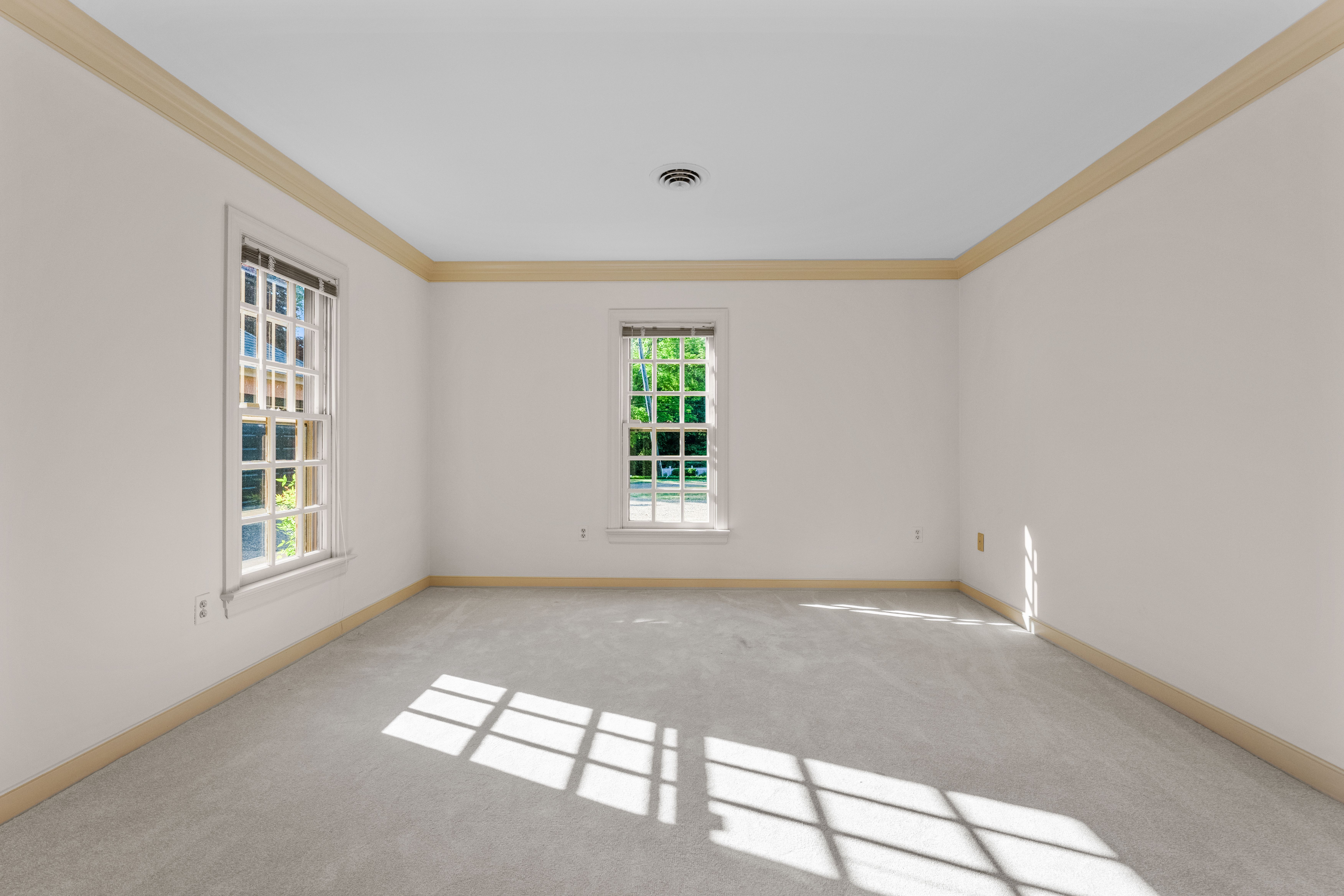  1217 Rothesay Circle, Richmond, VA 23221 - 物件實景