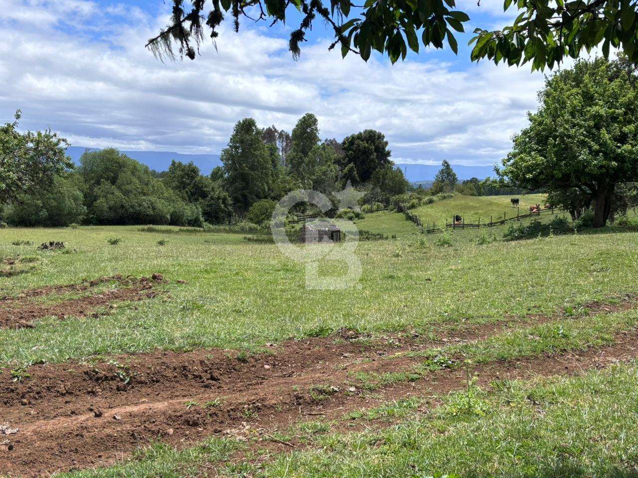 Fresia, Chile, ,Land,For Sale,2003048