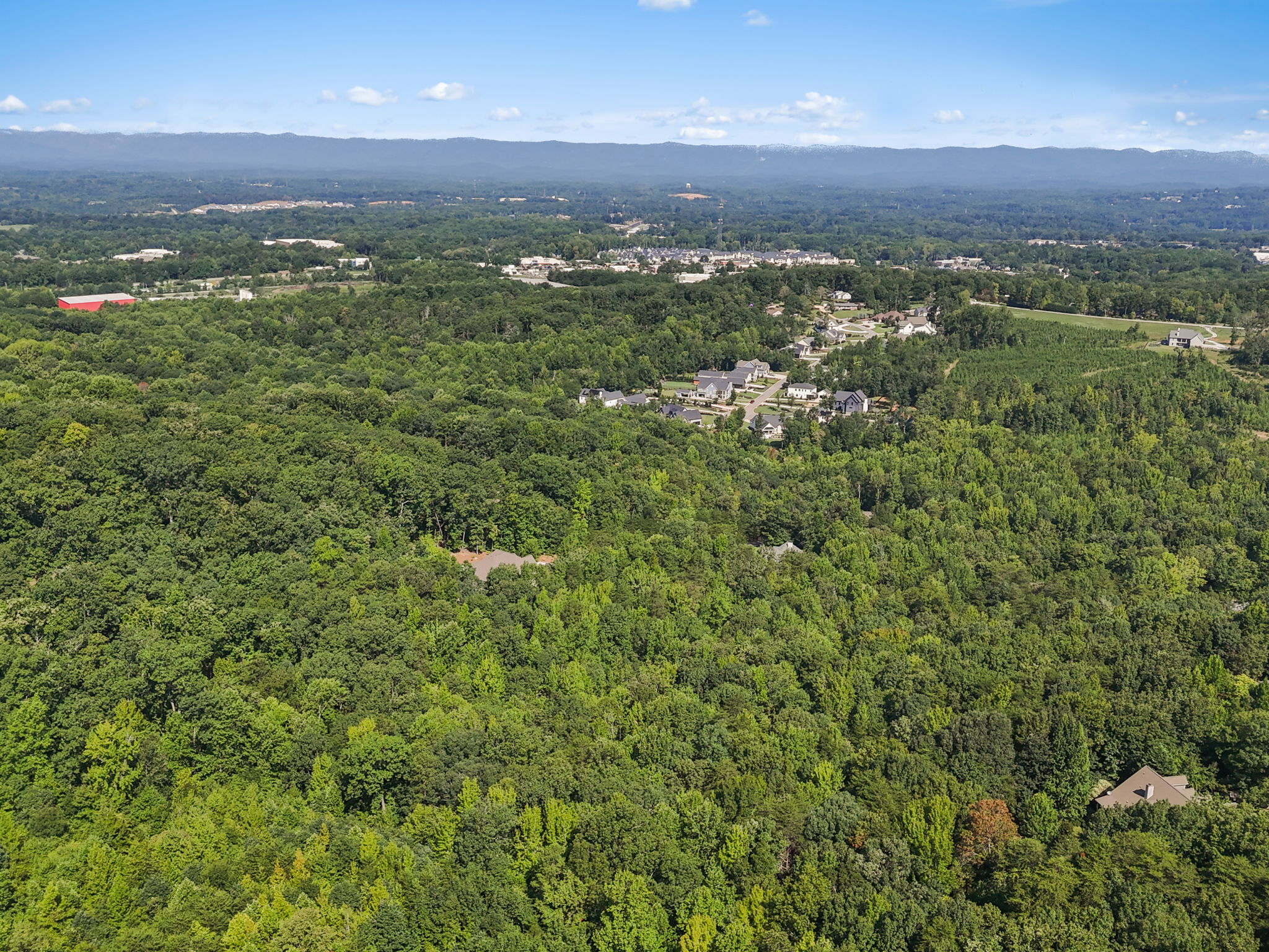  101 Frangipani Way, Greenville, SC 29609 - 物件實景