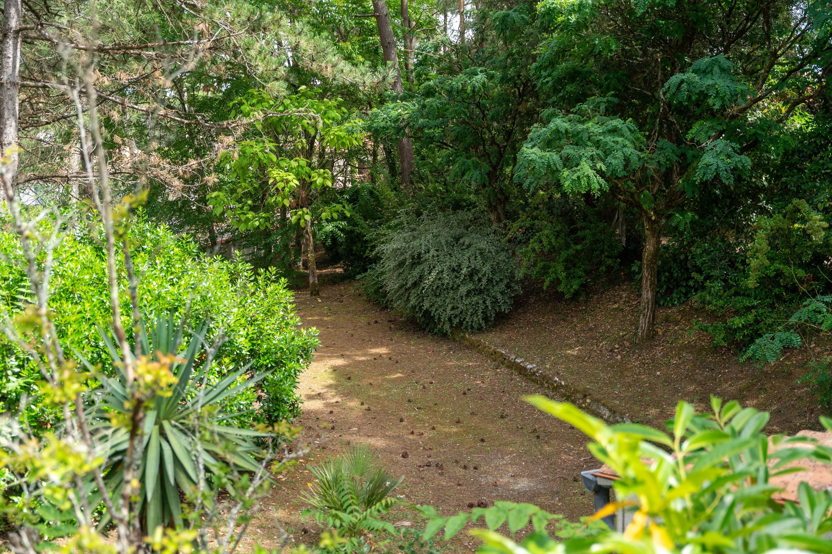  Villa in the Suzac District, 800 Metres from the Beach – Saint-Georges-de-Didon… - 物件實景