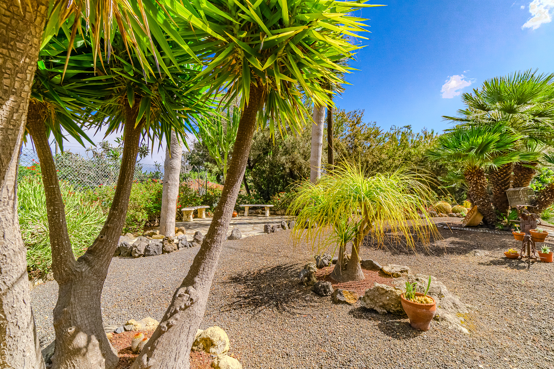  Rustic farmhouse in Icod de los Vinos, Tenerife - 物件實景