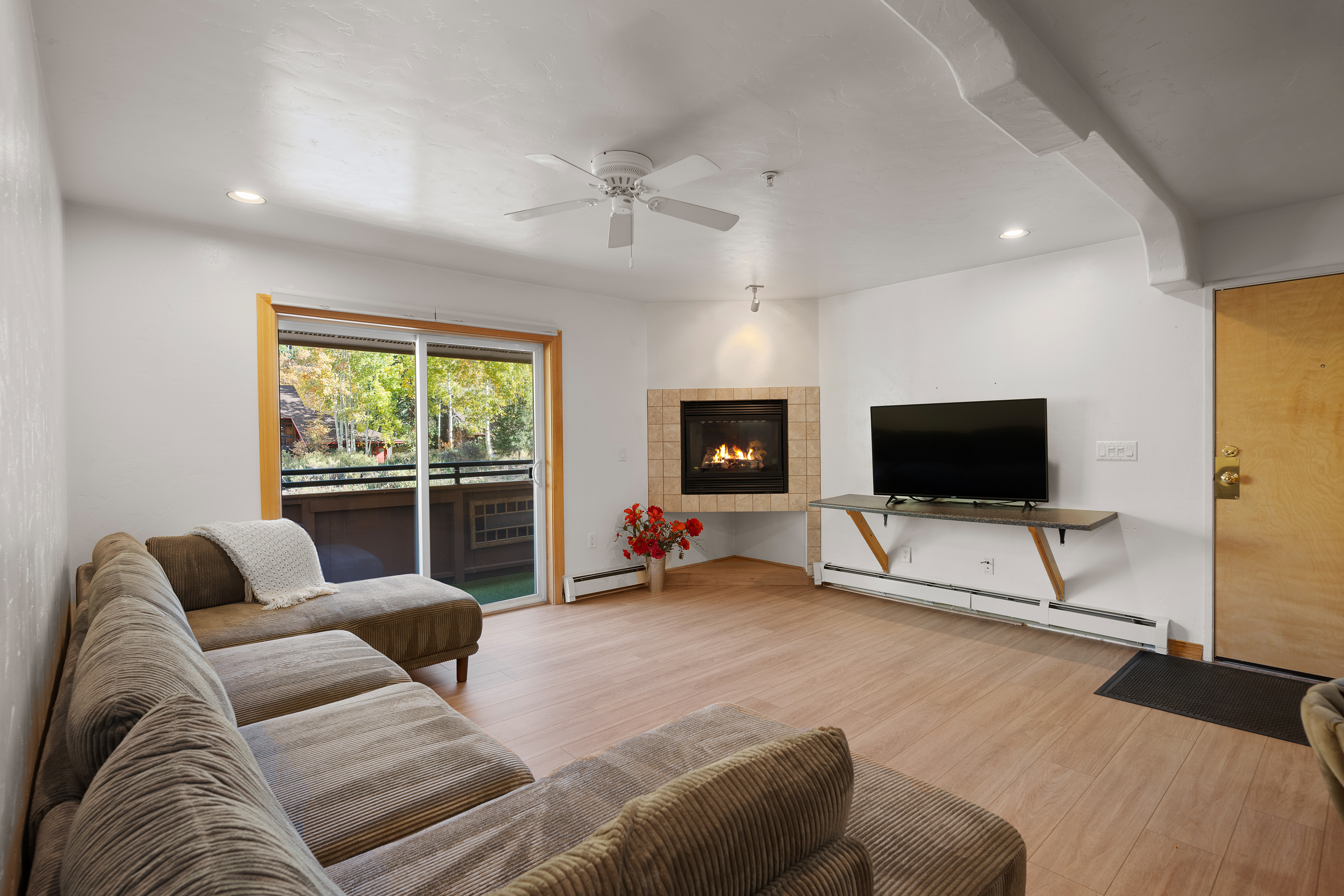  326 Midland Avenue 306, Aspen, CO, 81611 - 物件實景