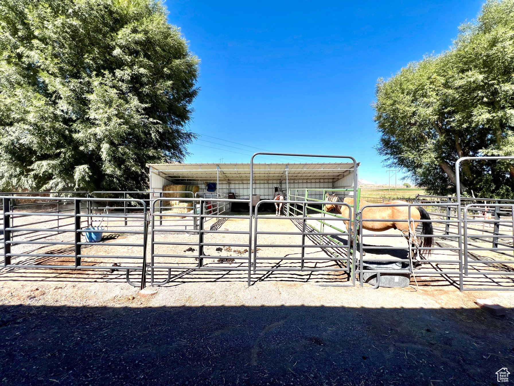 Richfield, Utah, 84701, United States, 5 Bedrooms Bedrooms, ,3 BathroomsBathrooms,Residential,For Sale,1761886