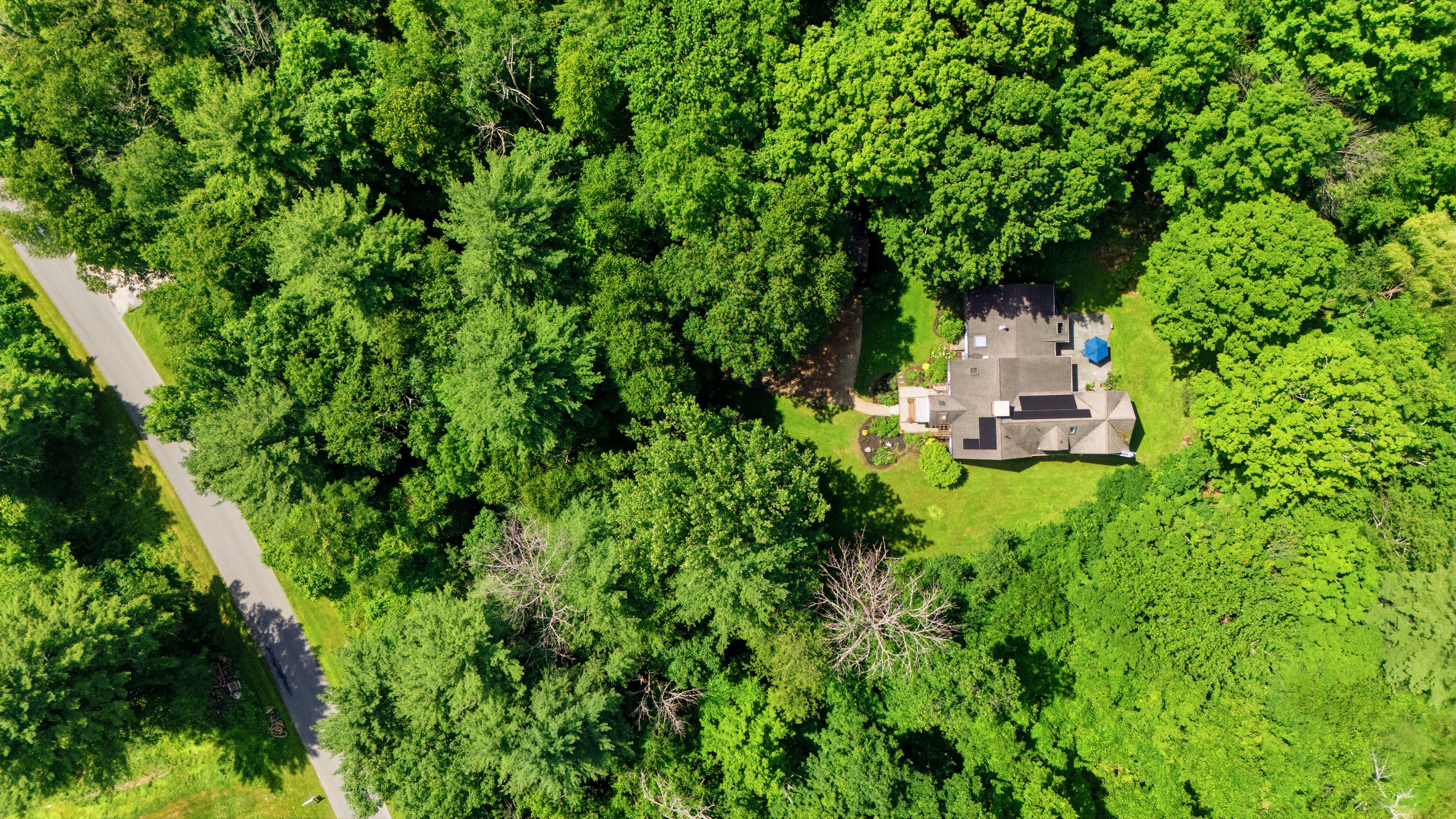  Berkshire Retreat: 4 Private Acres Near Downtown Great Barrington - 物件實景