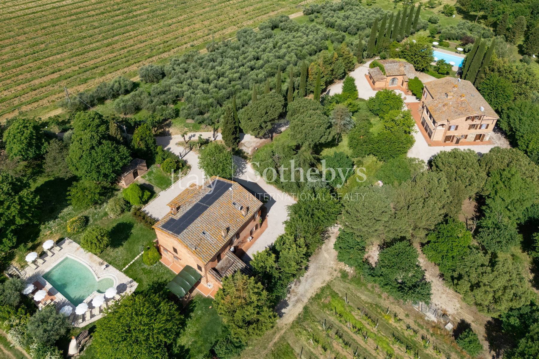  Refined wine estate with agritourism - 物件實景