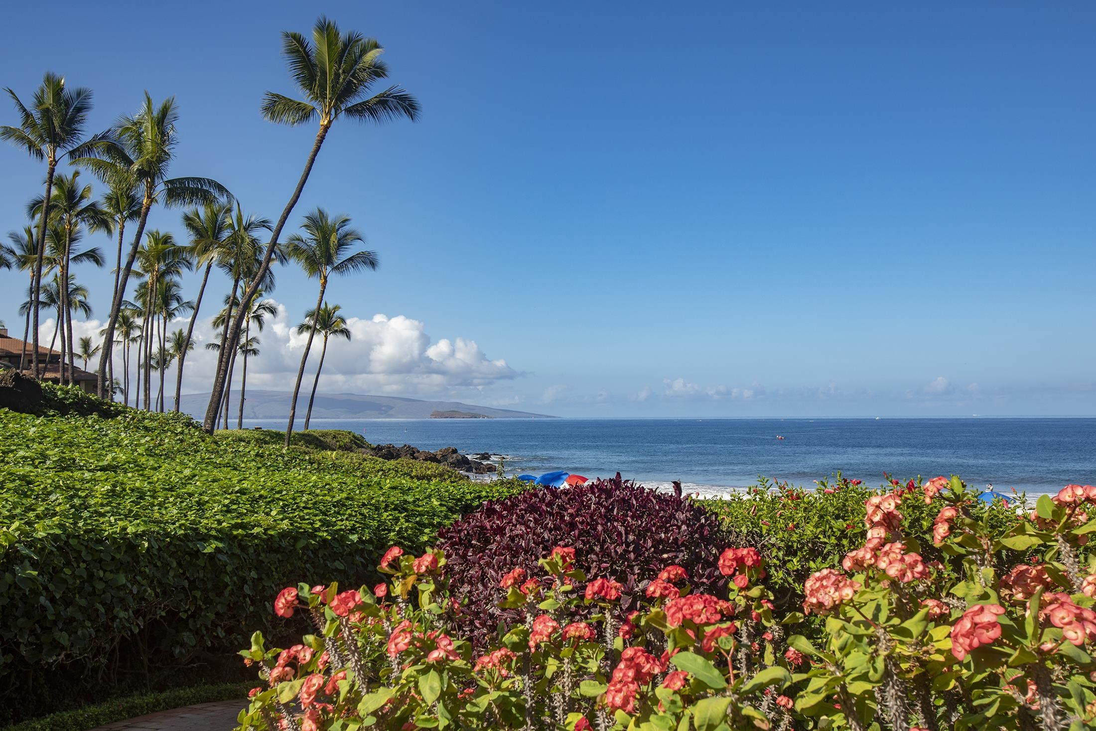 Kihei, Hawaii, 96753-5434, United States, 2 Bedrooms Bedrooms, ,2 BathroomsBathrooms,Residential,For Sale,2000477