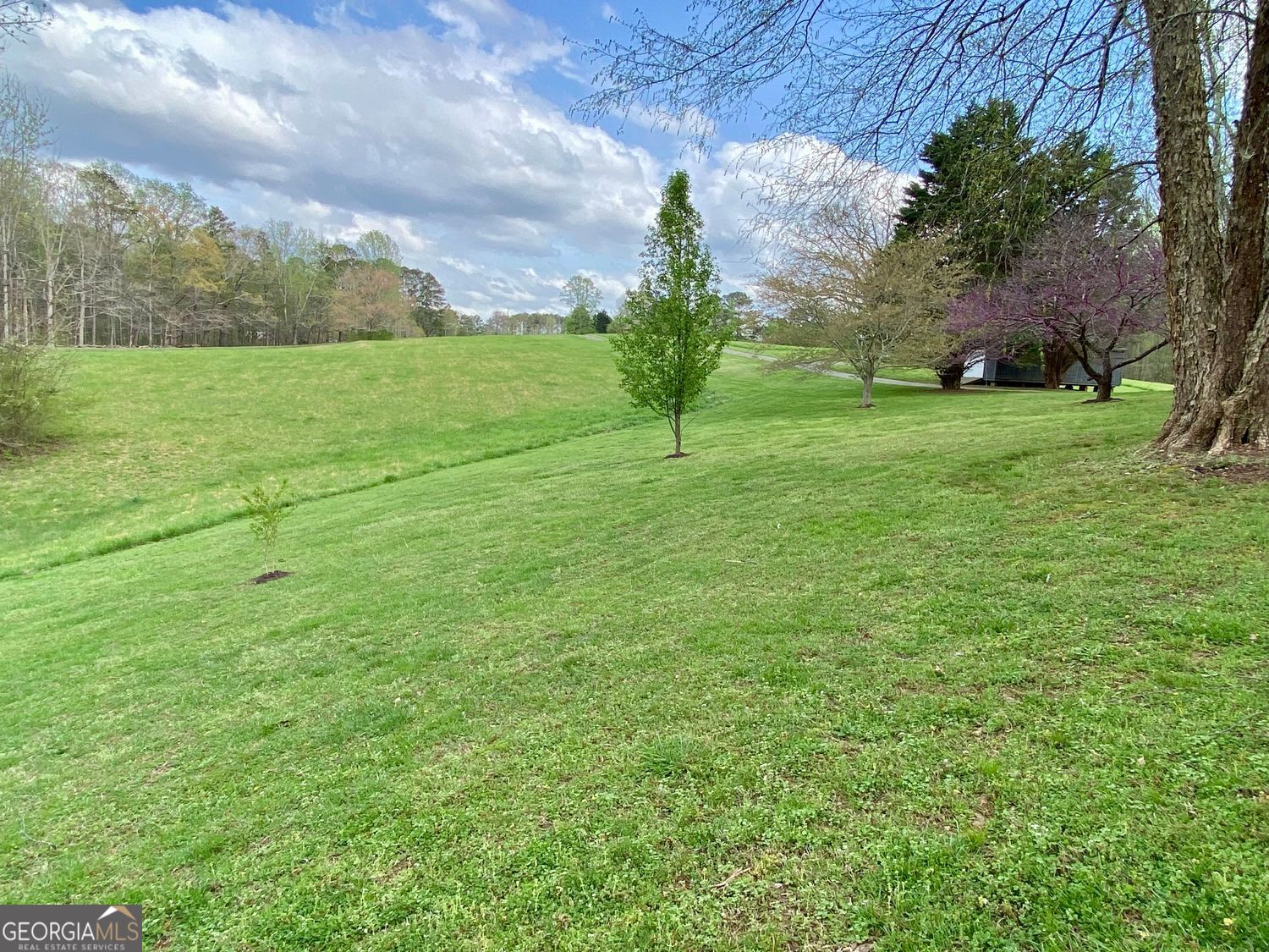 Rockmart, Georgia, 30153, United States, 5 Bedrooms Bedrooms, ,5 BathroomsBathrooms,Residential,For Sale,1858932