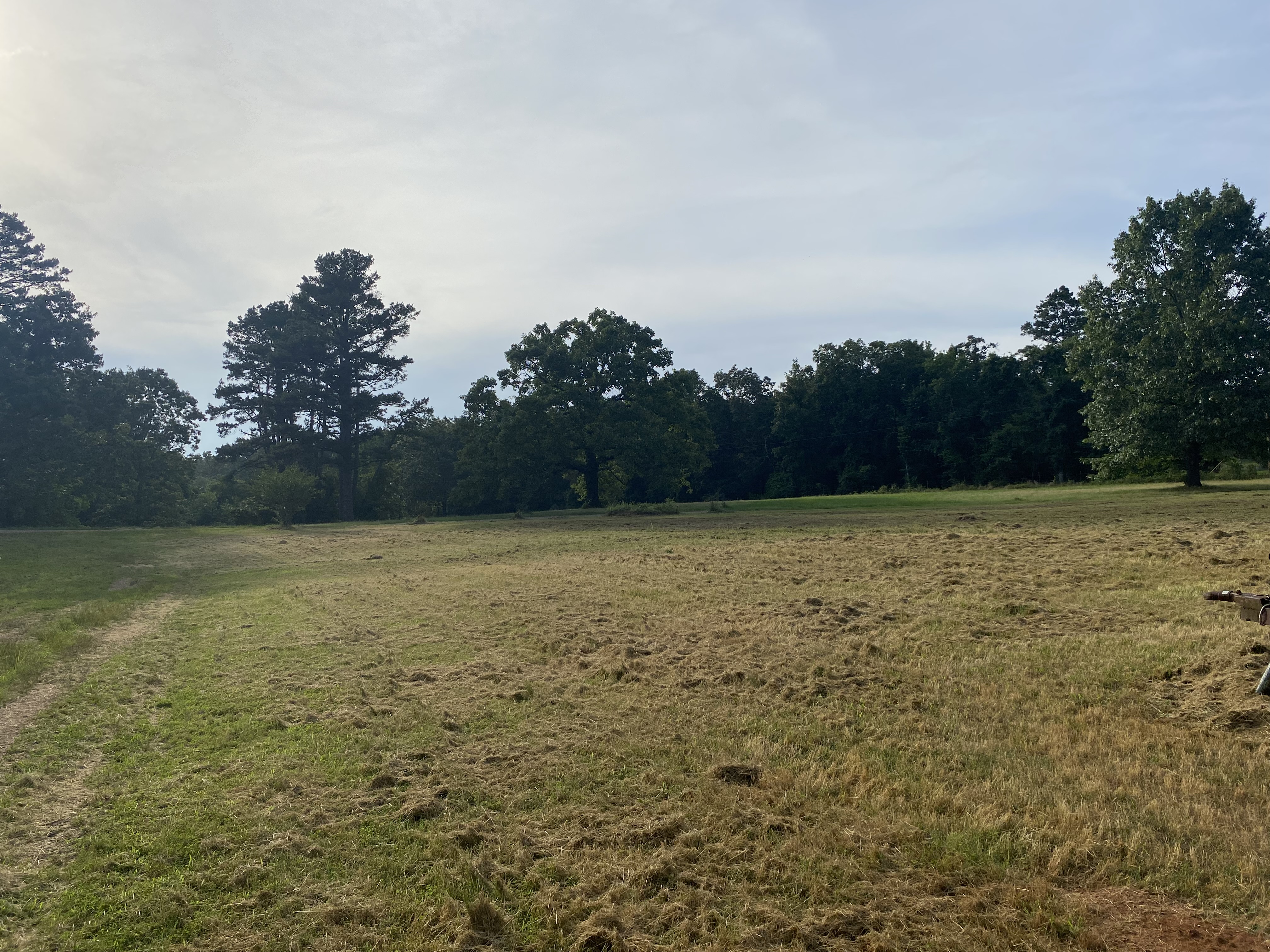 Clarksville, Arkansas, 72830, United States, 7 Bedrooms Bedrooms, ,3 BathroomsBathrooms,Residential,For Sale,2005713