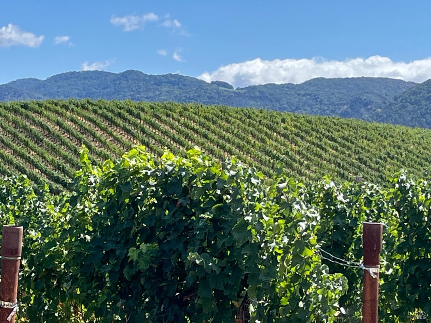 Napa, California, 94558, United States, 3 Bedrooms Bedrooms, ,3 BathroomsBathrooms,Residential,For Sale,1991897