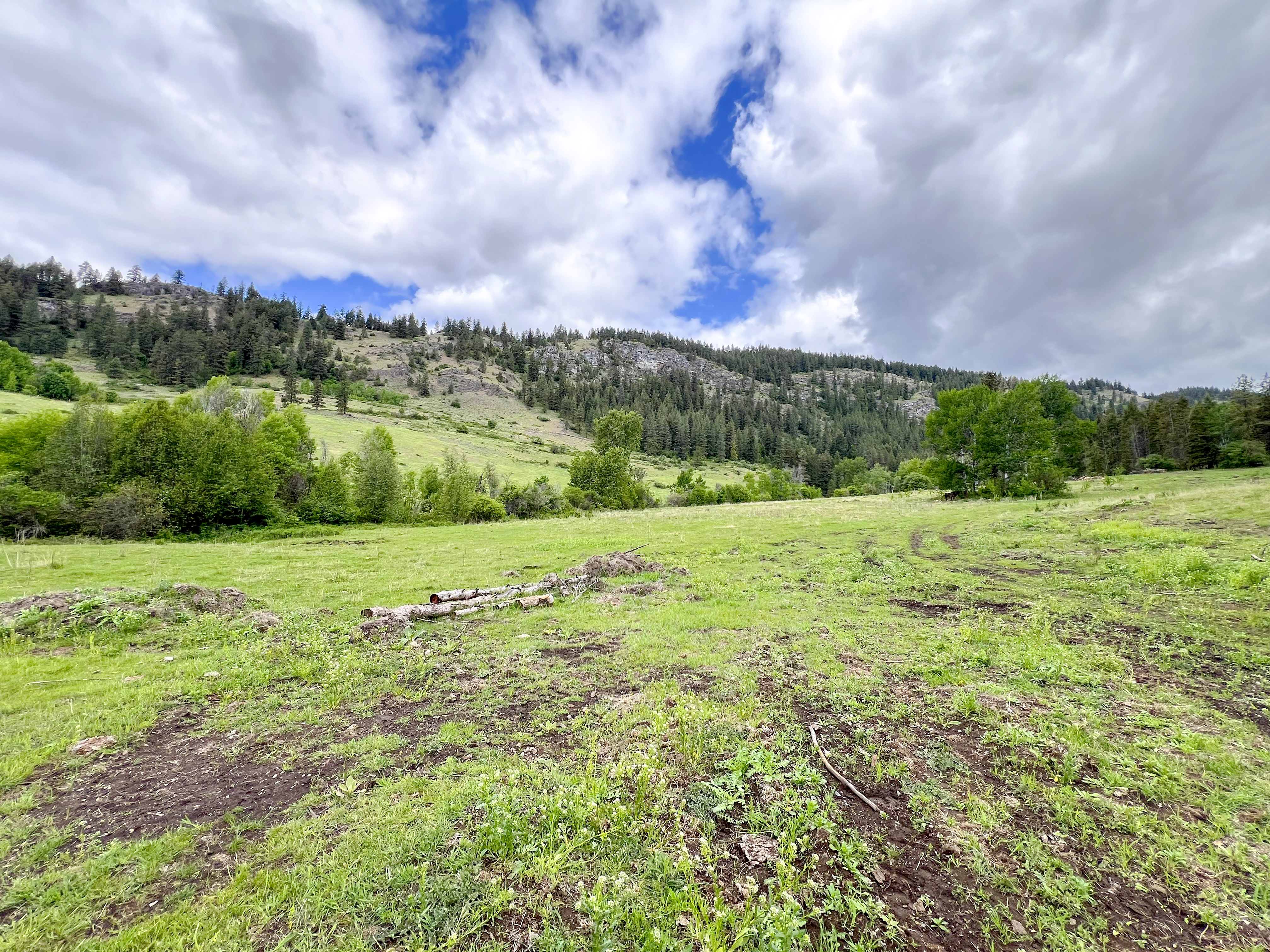 Kettle Falls, Washington, 99141, United States, 3 Bedrooms Bedrooms, ,2 BathroomsBathrooms,Residential,For Sale,1985709