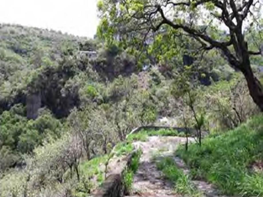 Retorno el Vergel, Cuernavaca, Morelos, 62070, Mexico, 1 Bedroom Bedrooms, ,Residential,For Sale,Retorno el Vergel,1442955
