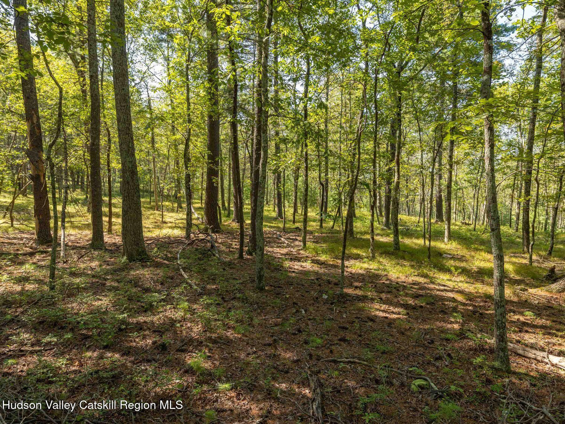 Hurley, New York, 12443, United States, ,Residential,For Sale,1947114