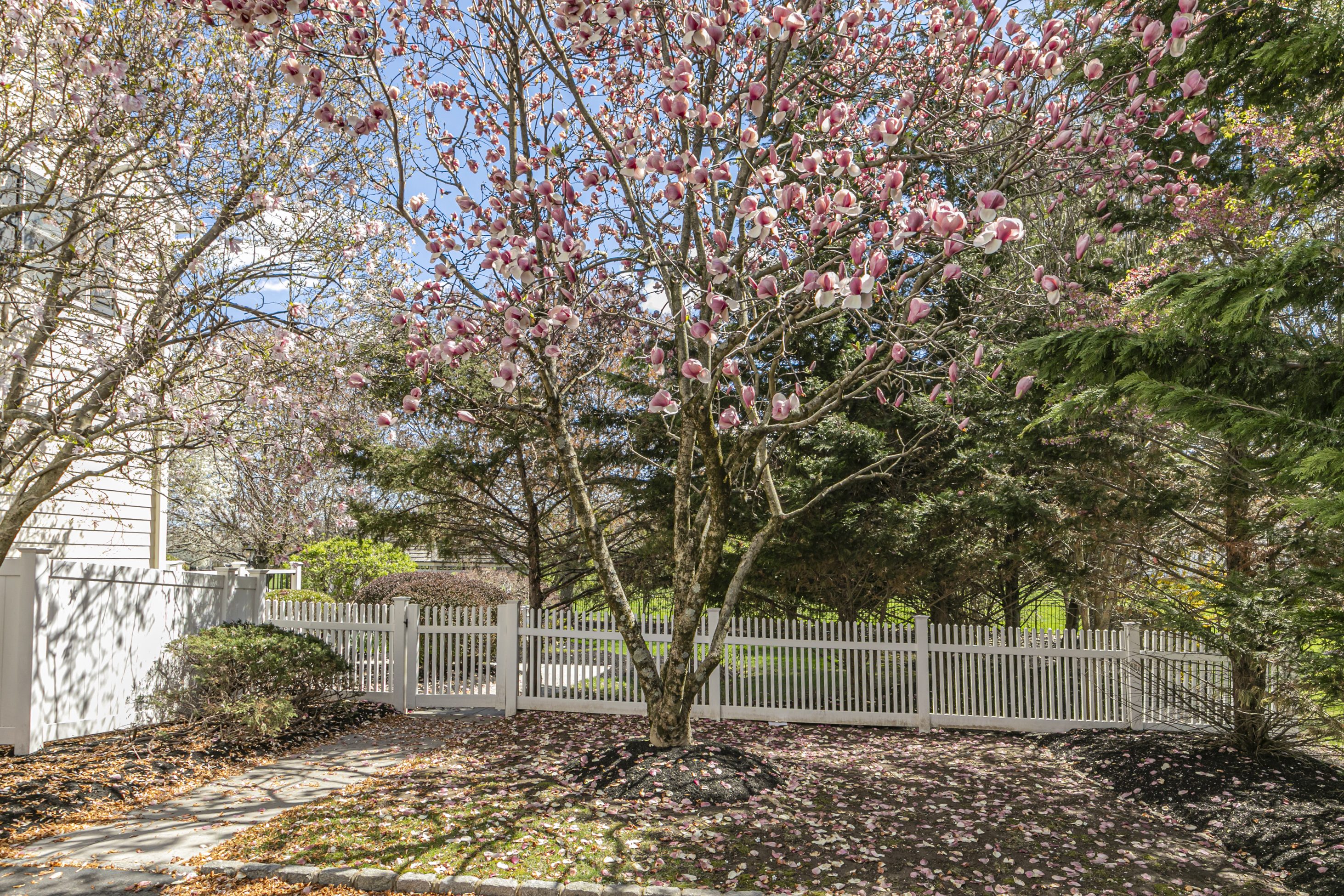  Newly Updated Ettl Farm Home on an Exceptional Lot - 物件實景