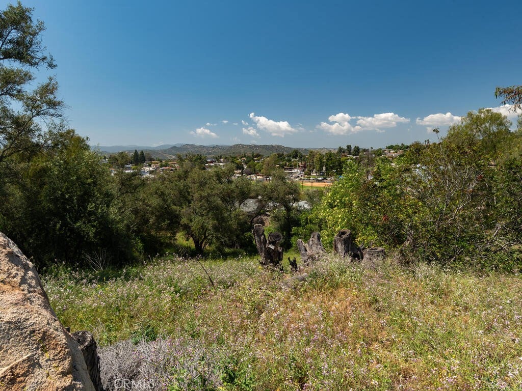 Fallbrook, California, 92028, United States, ,Land,For Sale,1805274
