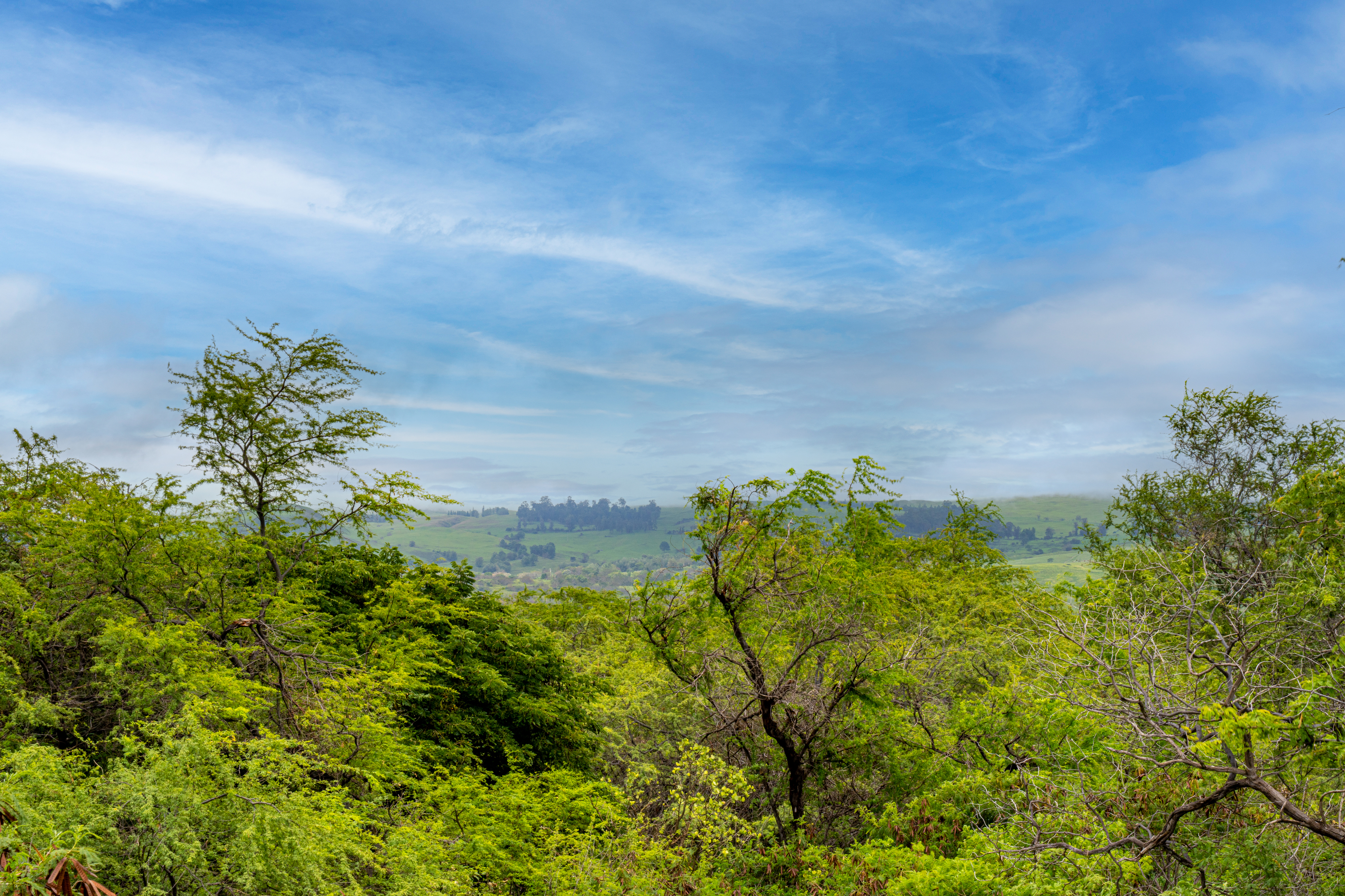  Rare Opportunity to Build in Maui