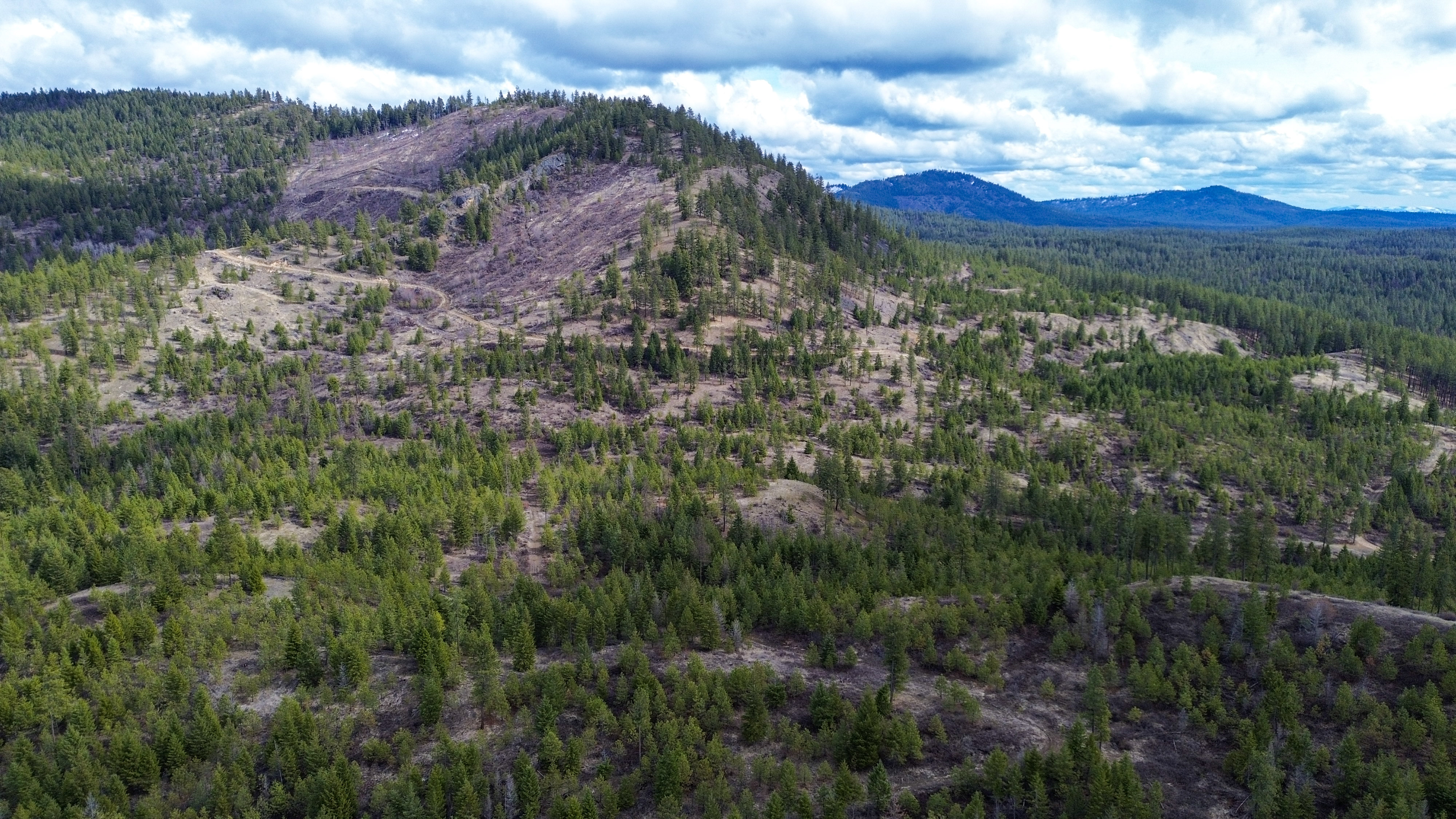 Valley, Washington, 99181, United States, ,Land,For Sale,1979391