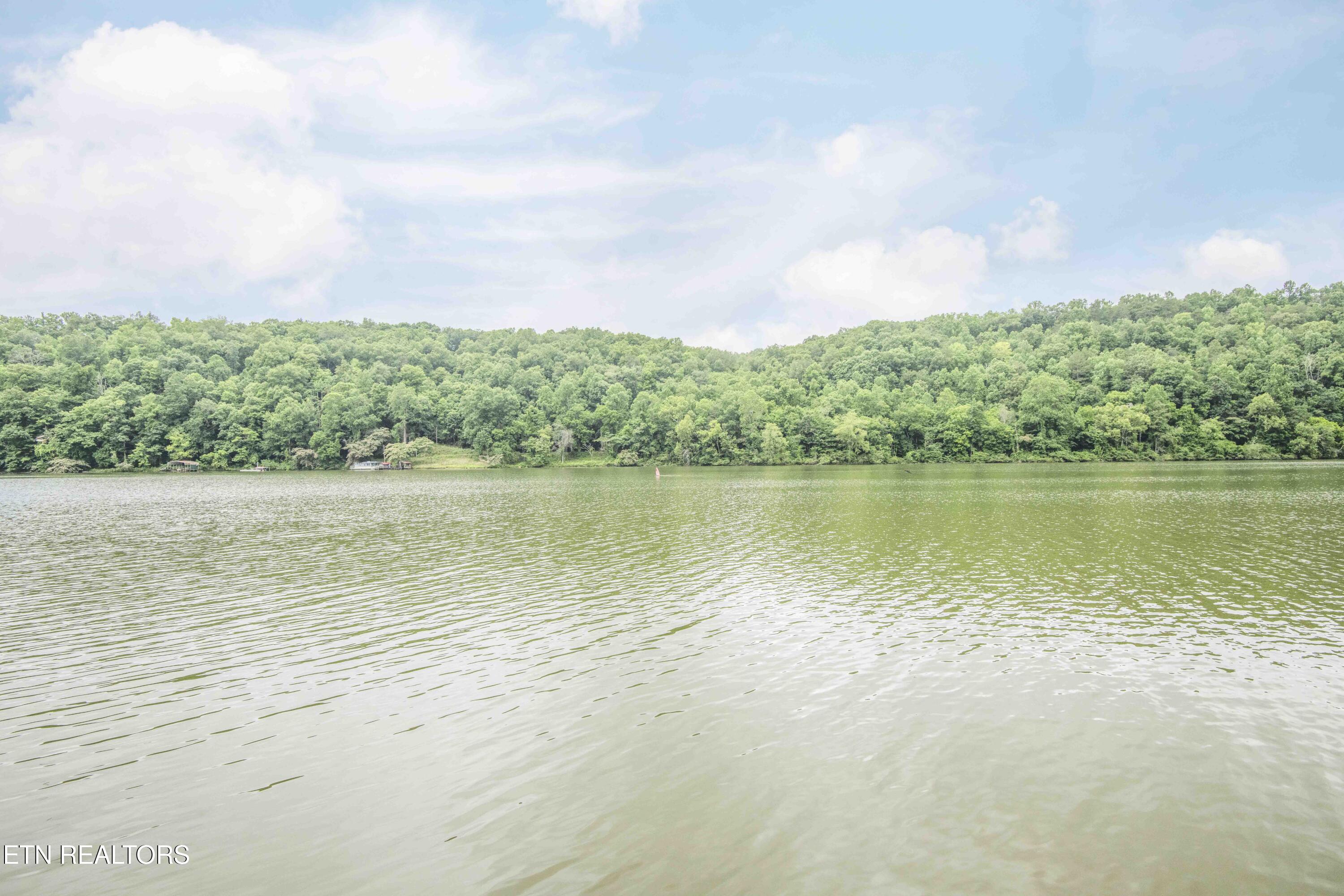 Kingston, Tennessee, 37763, United States, 3 Bedrooms Bedrooms, ,3 BathroomsBathrooms,Residential,For Sale,2013795