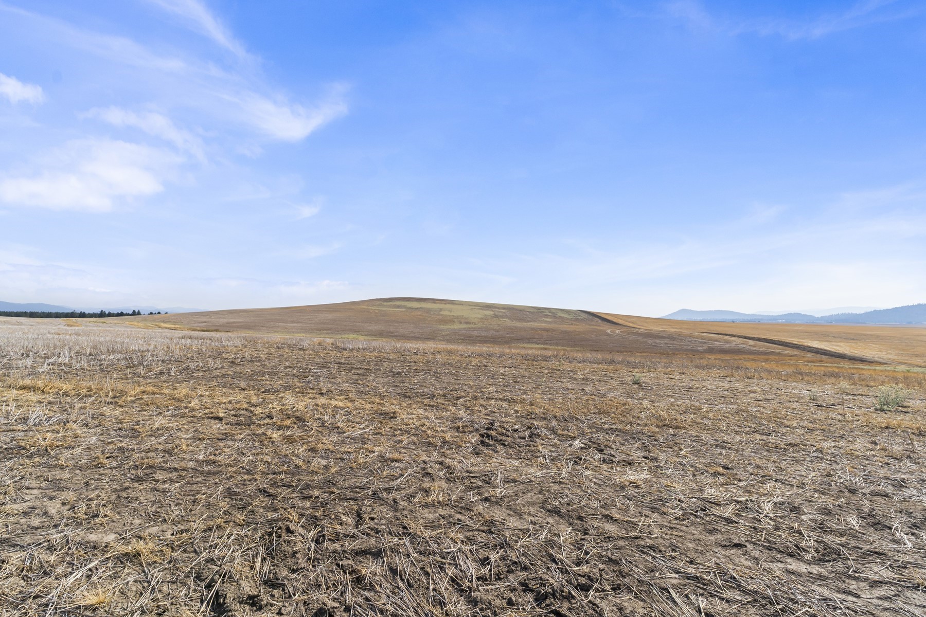  Worley Acreage - 物件實景