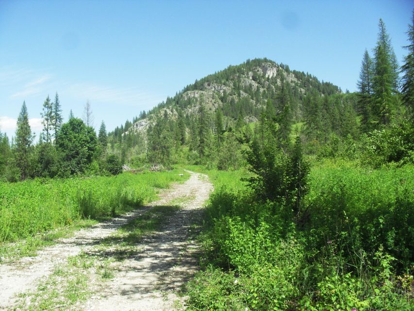 Northport, Washington, 99157, United States, ,Land,For Sale,1982244