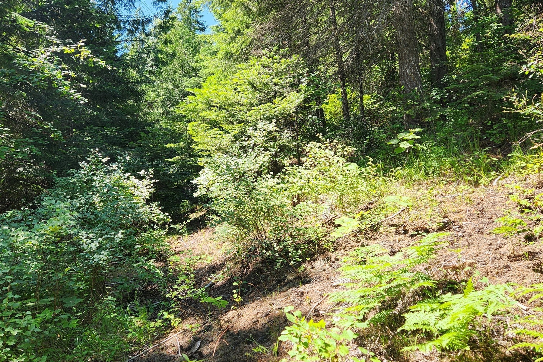  718 Slippery Slope Lot 1 Priest River - 物件實景