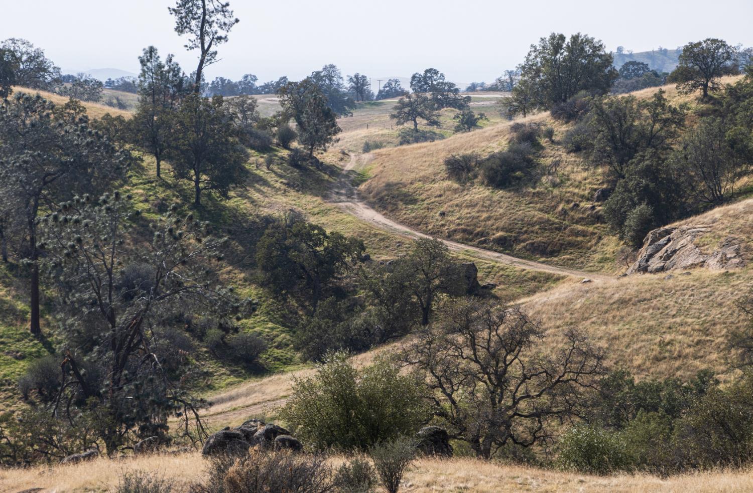 Coarsegold, California, 93614, United States, ,Residential,For Sale,2006211