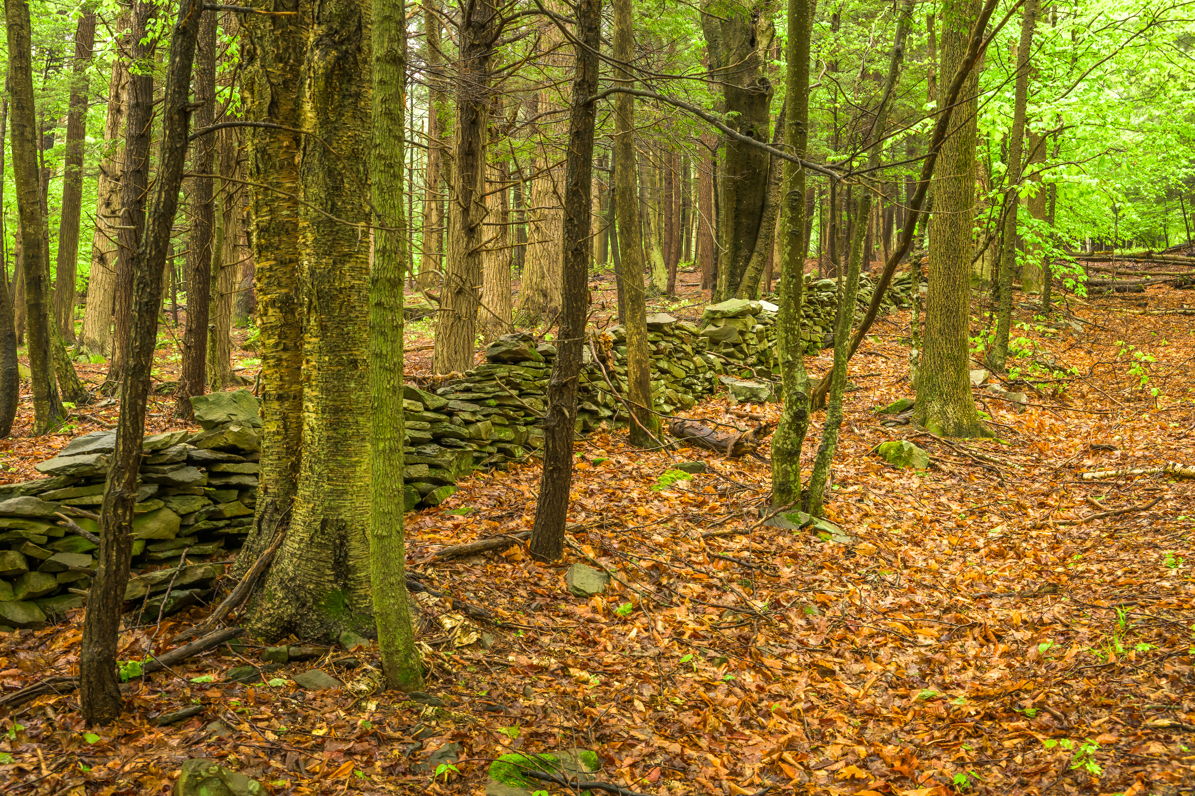  Historic Rensselaerville Federal - 物件實景