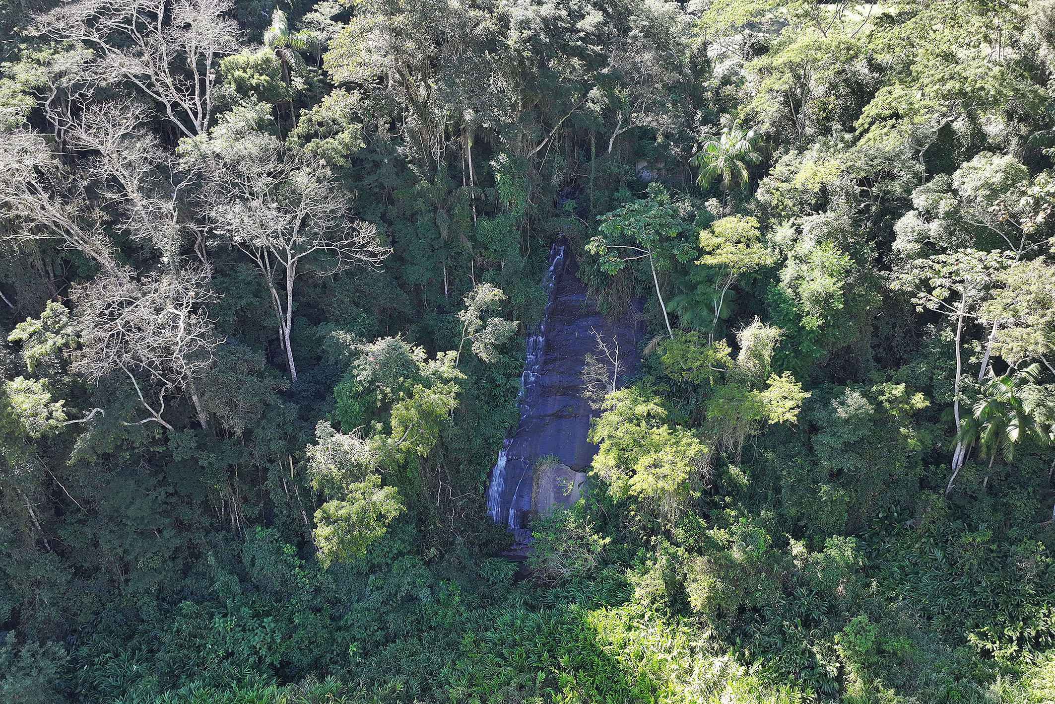  Productive estate spanning 865 acres in the mountains of Teresópolis - 物件實景