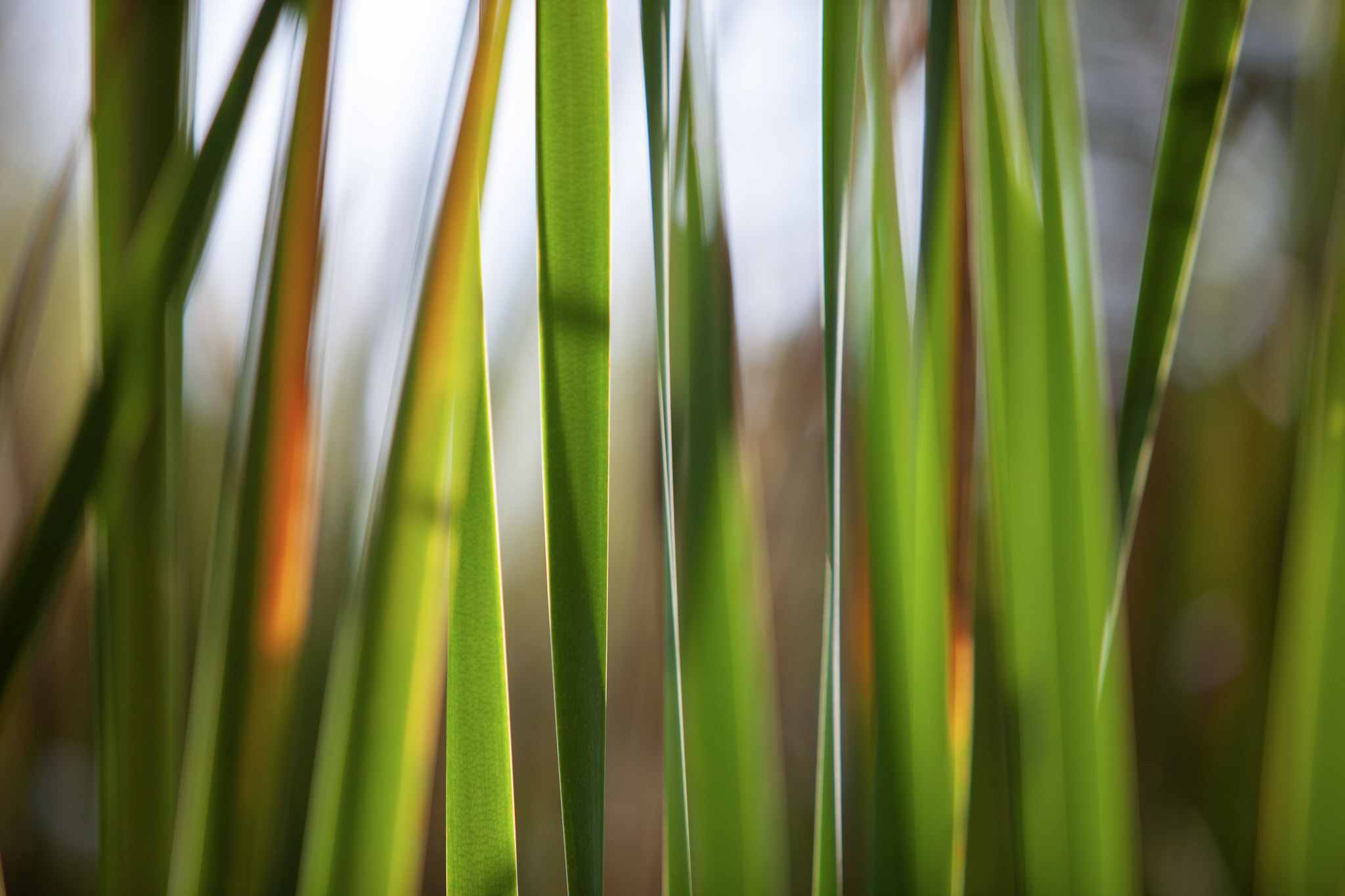 Branch, Michigan, 49402, United States, 1 Bedroom Bedrooms, ,1 BathroomBathrooms,Residential,For Sale,2001233