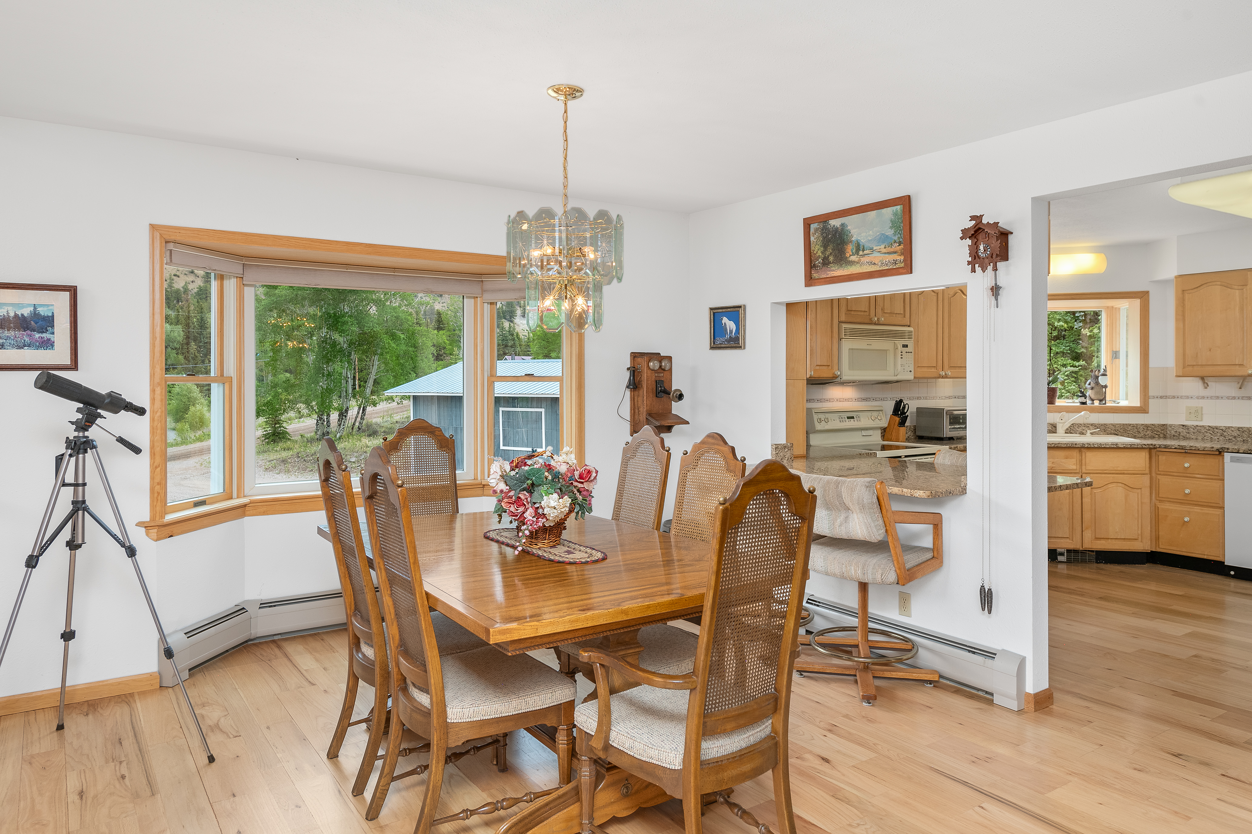 2079 Hummingbird Lane, Lake City, CO, 81235 - 物件實景