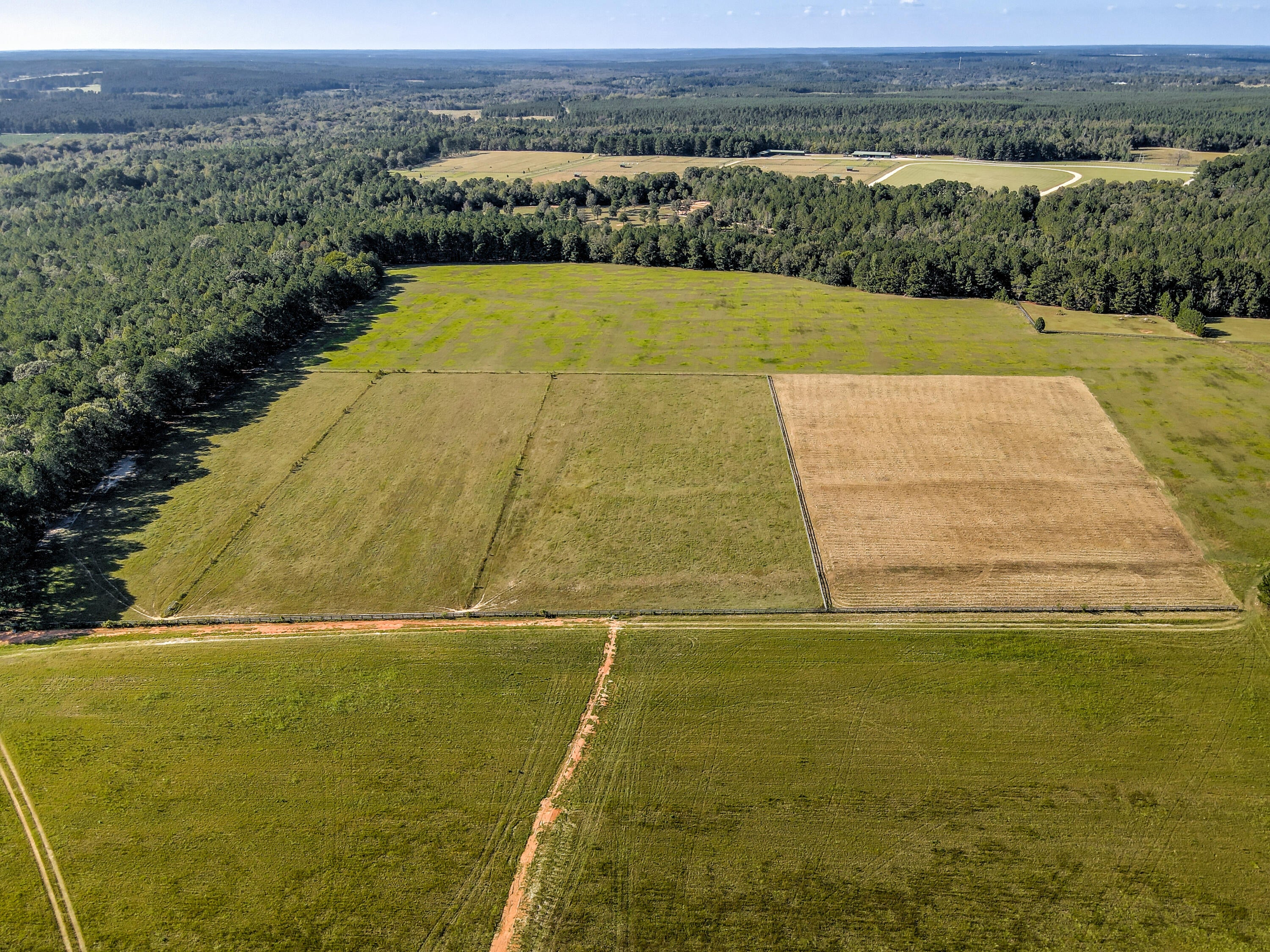Wagener, South Carolina, 29164, United States, ,Land,For Sale,1969040