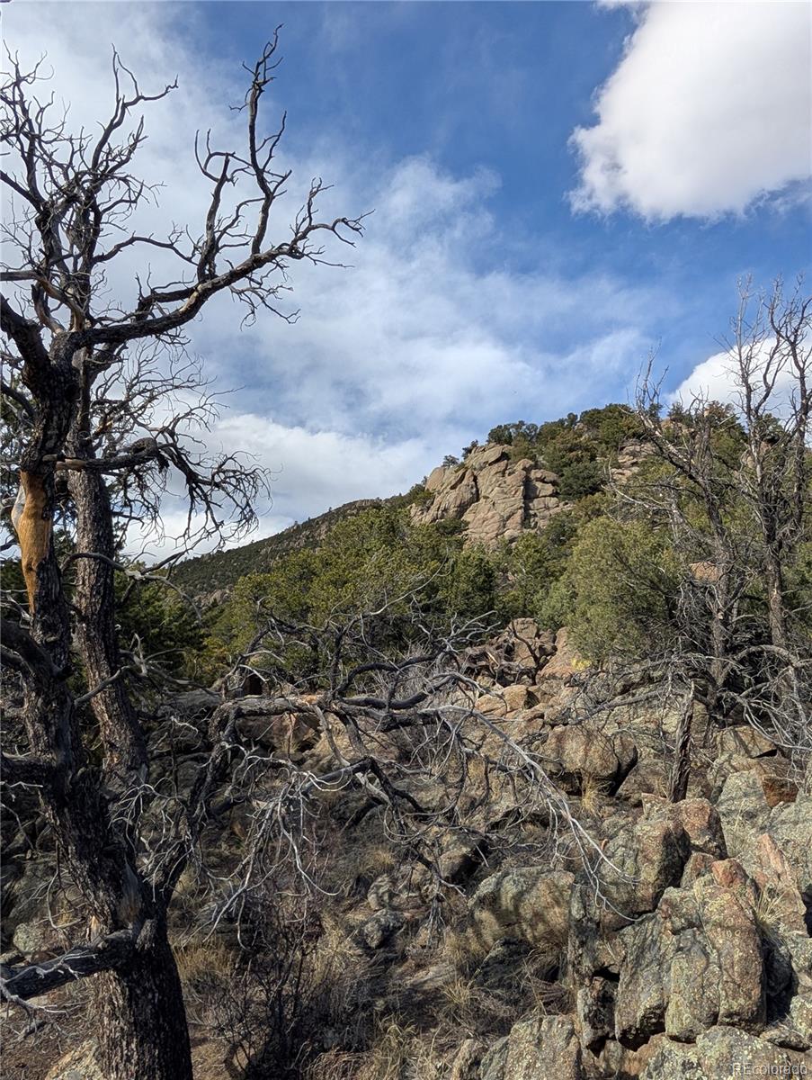 Buena Vista, Colorado, 81211, United States, ,Land,For Sale,1979562