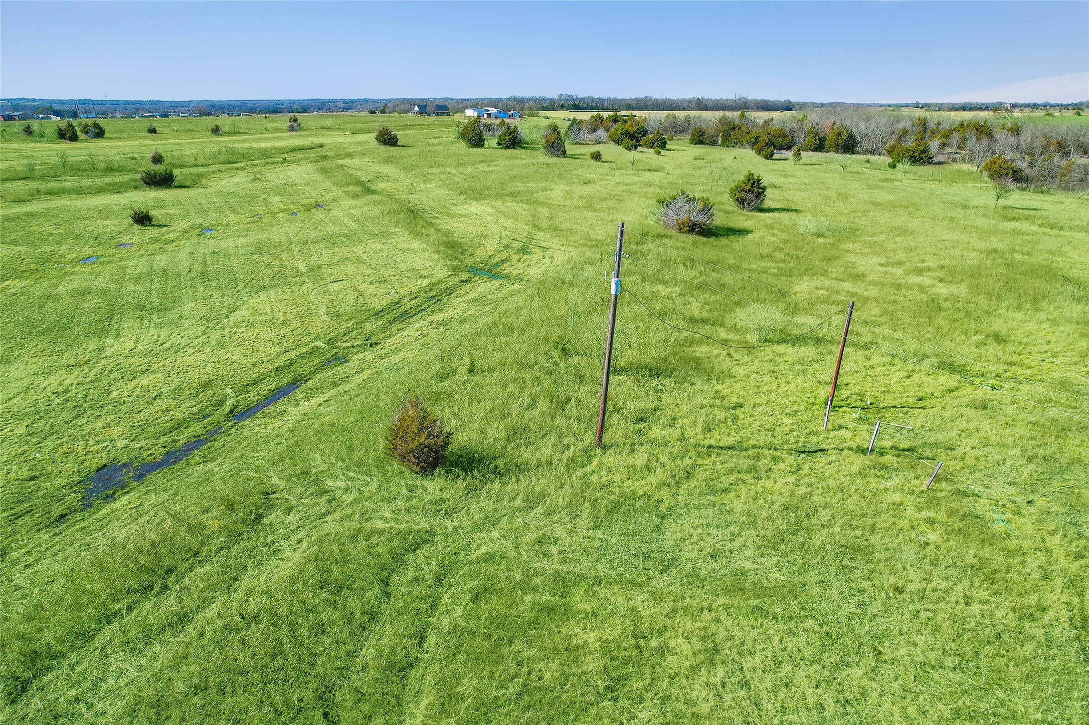 Farmersville, Texas, 75442, United States, ,Land,For Sale,1754423