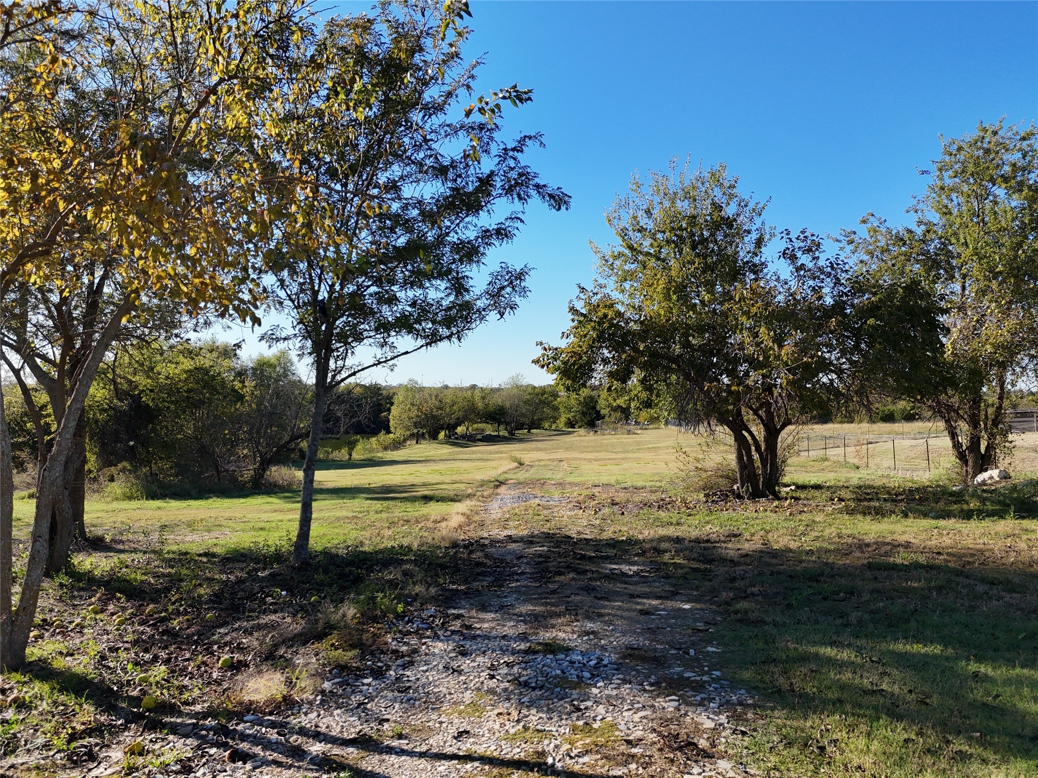 Nevada, Texas, 75173, United States, ,Land,For Sale,1988295