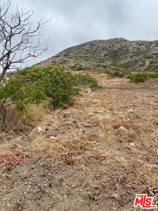Malibu, California, 90265, United States, ,Land,For Sale,1885463