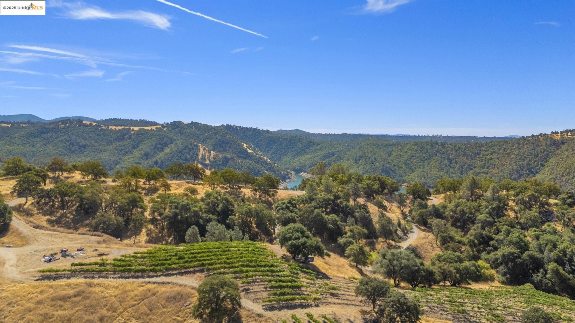 Murphys, California, 95247, United States, ,Land,For Sale,1975931