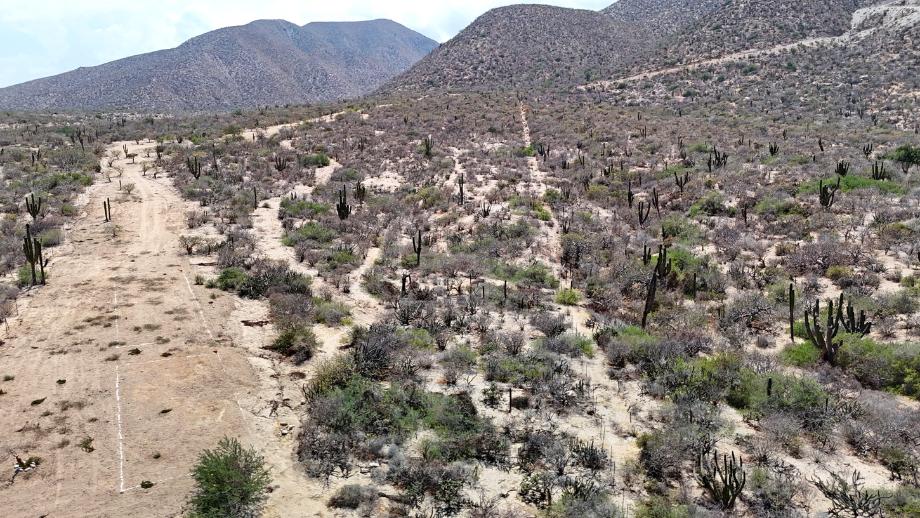 Sin calle, El Jalito, Baja California Sur, 23232, Mexico, 1 Bedroom Bedrooms, ,Residential,For Sale,Sin calle,1652731