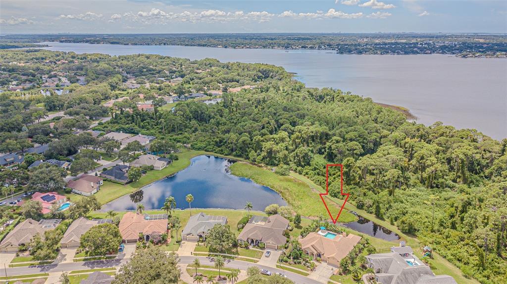 Palm Harbor, Florida, 34685, United States, 5 Bedrooms Bedrooms, ,3 BathroomsBathrooms,Residential,For Sale,1980660