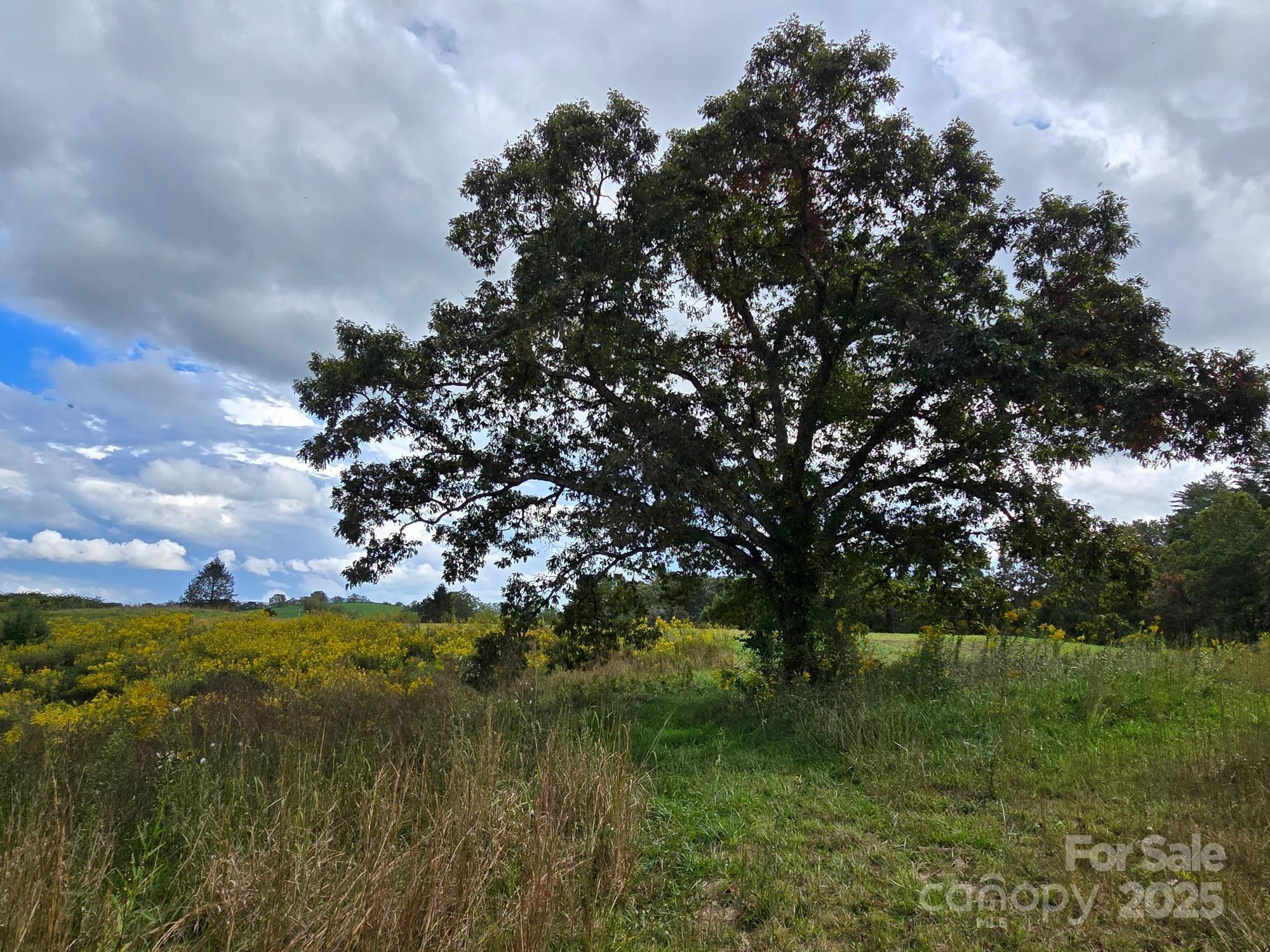 Mills River, North Carolina, 28759, United States, 3 Bedrooms Bedrooms, ,2 BathroomsBathrooms,Residential,For Sale,1982663