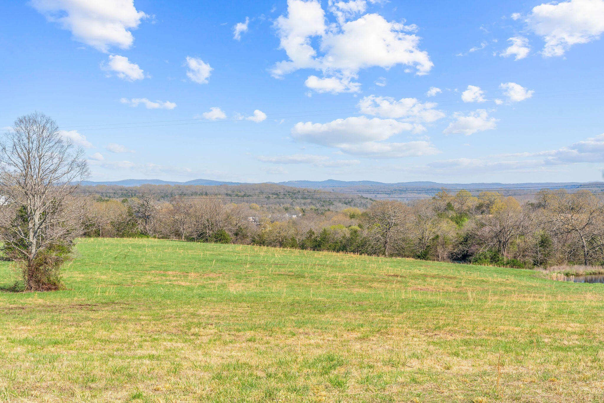 Kirbyville, Missouri, 65679, United States, ,Land,For Sale,1978892