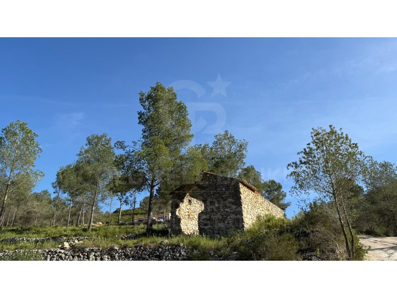 Jávea / Xàbia, Comunidad Valenciana, ES, 5 Bedrooms Bedrooms, ,5 BathroomsBathrooms,Residential,For Sale,1759817